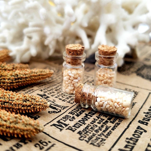 Tiny Okinawa Star Sand in Tiny Glass Cork Top Vial Jar 0.5ml Bottle Natural Curiosity Oddity Oddities Alter Curio Shelf