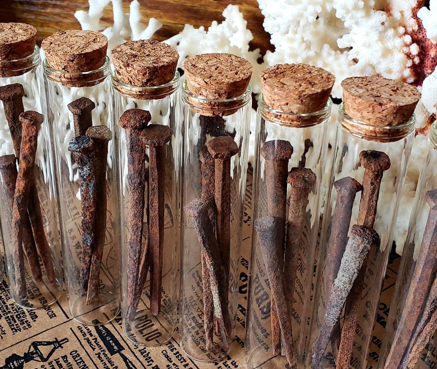 Vintage Antique Coffin Square Nails Single or Set of 3 in Glass Vial • Vulture Culture Oddity Oddities Taxidermy Printer Tray Jars Bottles