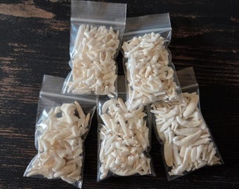 Craft Grade Small Animal Teeth – Jewelry, Oddity, Curio Display Supply
