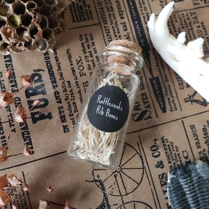 May include: A small glass jar with a cork lid filled with white rattlesnake rib bones. The jar has a black label that reads "Rattlesnake Rib Bones".