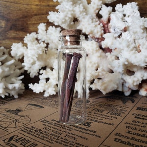 Coffin Square Nails Set of 3 in Glass Vial • Vulture Culture Oddity Oddities Taxidermy Printer Tray Jars Bottles