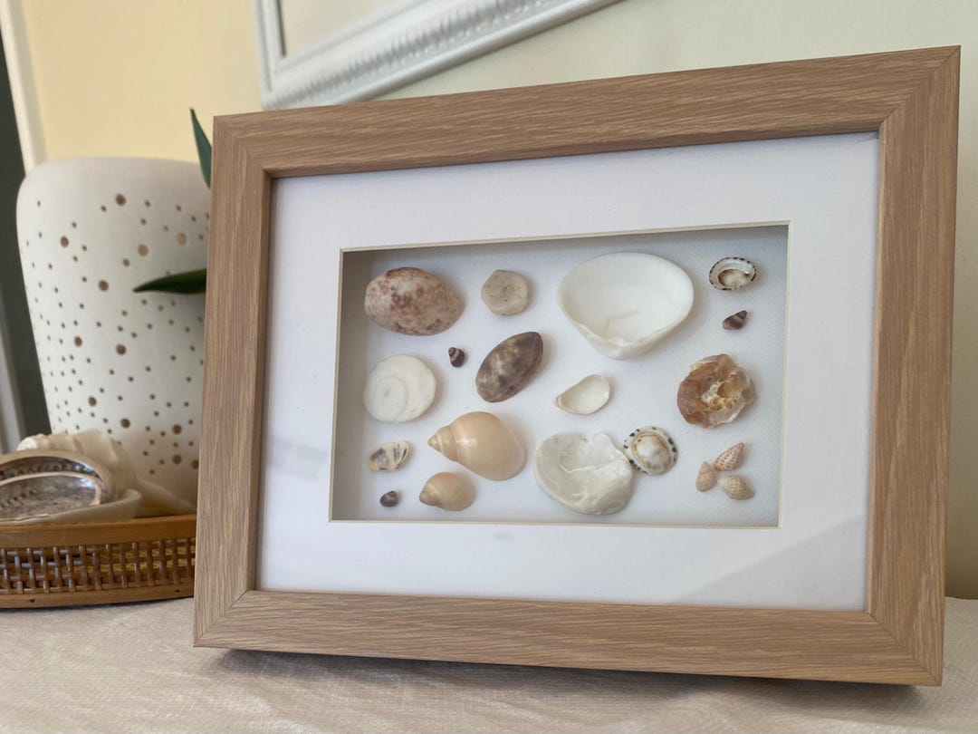 Ocean Frame Box Beach Finds Home Decor, Wooden Frame, Variety of Ocean Finds, Framed ...