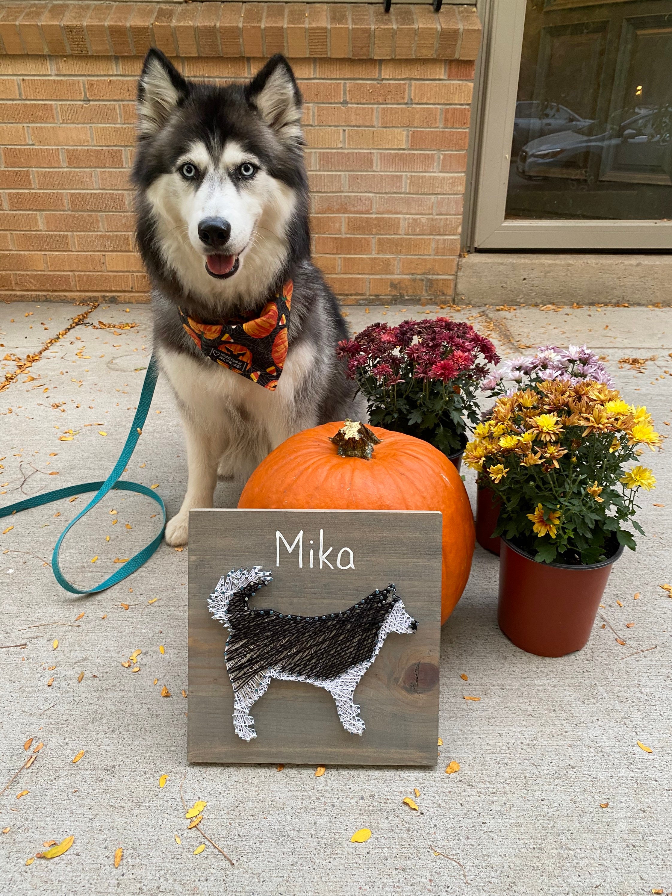 Custom husky pet portrait Dog string art customizable string | Etsy