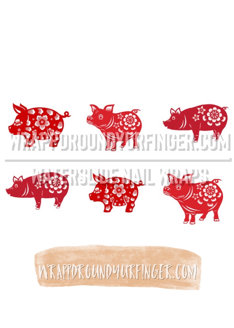Year of the Pig transparent Background - Etsy