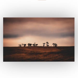 Minimalist Tree Canvas Print: Neutral Landscape Photography Wall Art