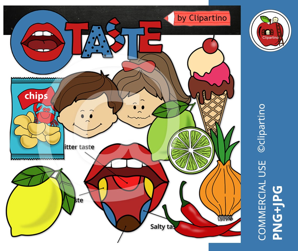 Five Senses Clipart Bundle 5 senses clip art-Sight Smell | Etsy