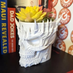 Demon Skull Planter with Horns | 20+ Colors | Gothic Horror Style | Succulent Pot Ring Dish | Halloween Decor