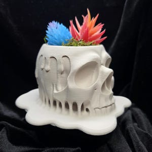 May include: A white skull-shaped planter with a melting design, holding colorful artificial plants. The planter has a unique, textured appearance and sits on a matching base. The artificial plants include blue, red, and orange accents.