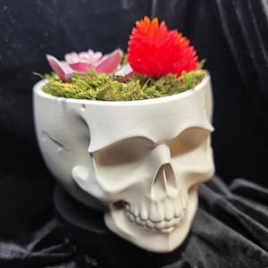 May include: A white skull-shaped planter filled with green moss, pink and red artificial flowers. The planter is made of a matte white material and has a detailed skull design. The flowers add a pop of color to the macabre theme.