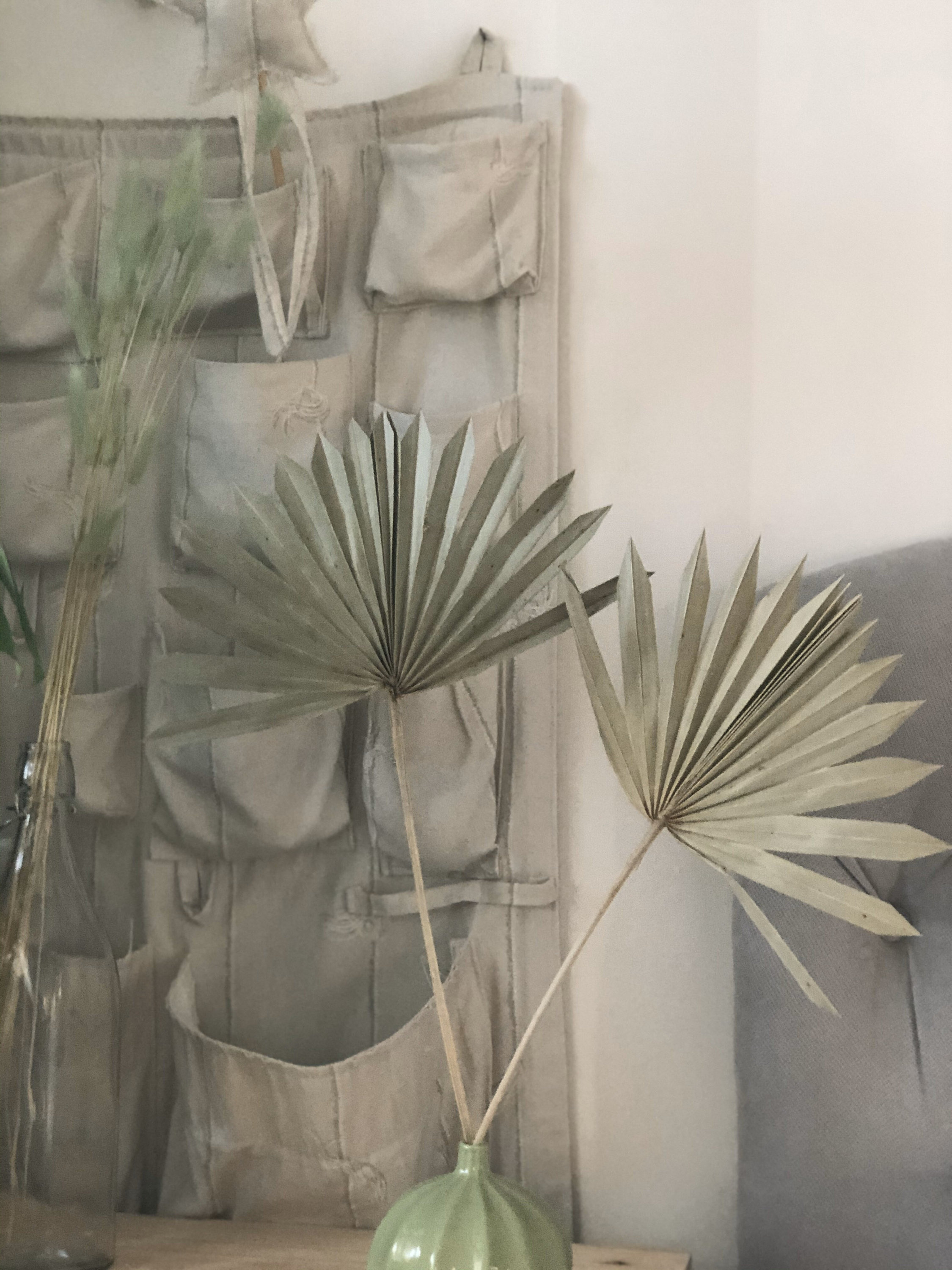 Quystetes Natürliche Getrocknete Palmenblätter - 5 Stück Boho Deko Für Zuhause & Hochzeit