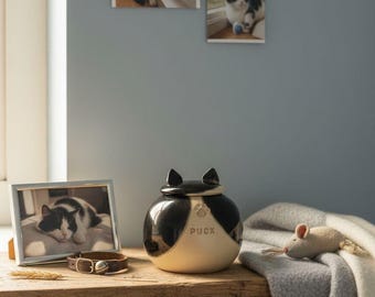 Zwart-witte kattenurn, smokingkattenurn, gevlekte zwart-witte kattenurn, zwart-witte hondenurn
