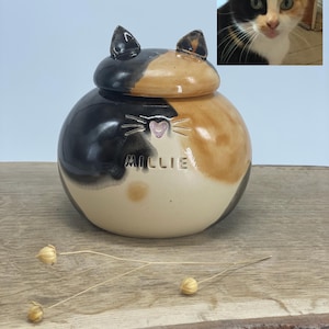 Può includere: Un'urna per animali domestici in ceramica con un design a tema gatto. L'urna è rotonda con un coperchio, con sezioni nere, marroni e crema. Il nome "MILLIE" è inciso sul davanti, con un naso a forma di cuore rosa e baffi. Una foto di un gatto è in alto a destra.