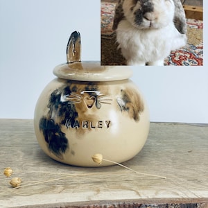 May include: A ceramic pet urn with a lid and a handle shaped like bunny ears. The urn is beige with brown and black accents and the name "MARLEY" is inscribed on the front. A photo of a bunny is in the background.
