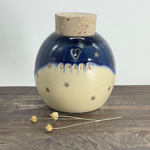 Star pet urn, golden star cat urn, blue sky pet urn, star night sky dog urn