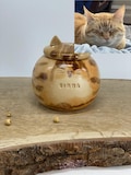 Personalised tabby  ginger orange cat Urn, urn by photos product logo
