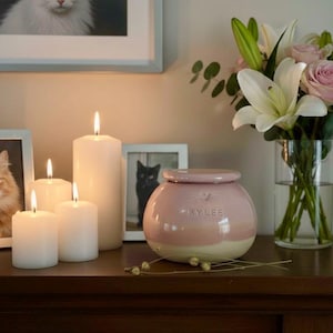 Urna rosa para gato, urna rosa para cachorro, urna rosa bebê para animais de estimação