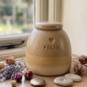 Peut inclure: Urne funéraire pour animaux de compagnie en céramique beige avec couvercle, portant le nom "FELIX" et un cœur. L'urne a un design bicolore et est entourée de fleurs séchées et de pierres avec des empreintes de pattes. Un petit médaillon rond est également présent.