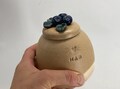 Pottery Pet urn, dog urn, cat urn, ceramic urn for pet, blueberries product logo