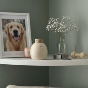 Urna bianca semplice per animali domestici, urna per gatti, urna in ceramica, urna in ceramica, urna fatta a mano
