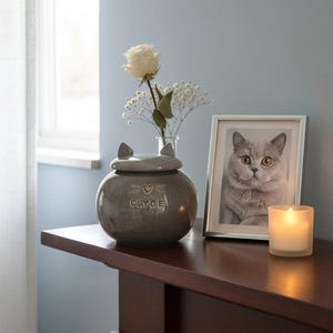 Urna till brittisk korthårskatt, urna till grå katt, urna till grå hund