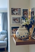 Forget me not White pet Urn, Ceramic Urn for Ashes, simple pet urn product logo