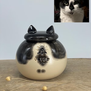 May include: A ceramic pet urn with a black and white cat design. The urn has a round shape with a lid featuring two small, black, ear-shaped accents. The name "CLYDE" is inscribed on the front, below a floral design. A photo of a cat is in the background.