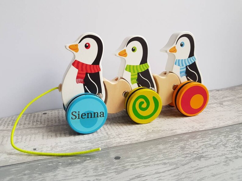 personalised wooden pull along toy