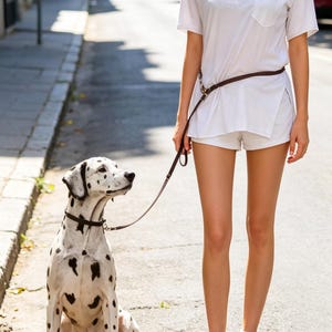 Handmade Leather Dog Leash | 2.5M Multi-Function, Hands-Free Waist Lead