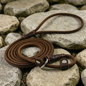 Guinzaglio slip in pelle vera sottile e leggero da 5 mm fatto a mano, guinzaglio per addestramento e passeggiate per cuccioli e cani piccoli