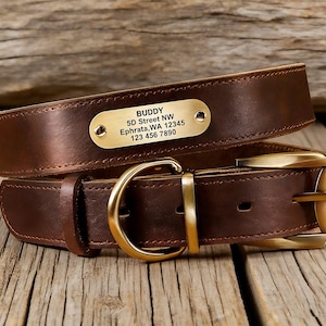 Puede incluir: Un collar de perro de cuero marrón con una hebilla y una placa con el nombre de latón. La placa con el nombre dice "BUDDY" con una dirección y un número de teléfono. El collar está sobre una superficie de madera.