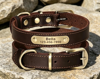 Gepersonaliseerde leren halsband voor honden, aangepaste gegraveerde naamplaat voor huisdieren, telefoonnummer-ID