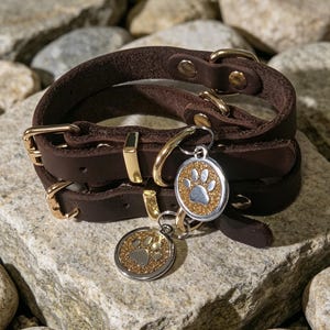 Op de afbeelding: Een stapel van drie bruine leren hondenhalsbanden met goudkleurige hardware. Twee hondenpenningen met een pootafdrukontwerp zijn bevestigd. De penningen hebben een zilveren rand en een gouden glitterachtergrond.