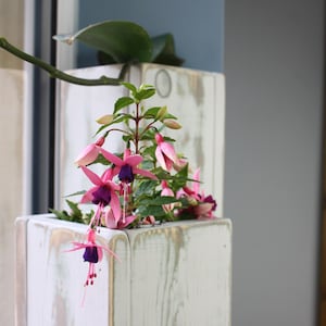 May include: A white wooden planter box with pink and purple flowers. The planter is distressed and has a rustic look.