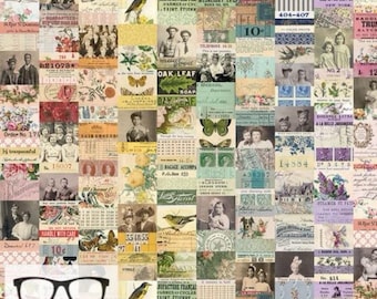 Palette Multi Collage in Multi by Tim Holtz for Freespirit - Sold by the Half Yard