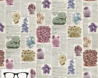 Palette Multi Botany in Multi by Tim Holtz for Freespirit - Sold by the Half Yard