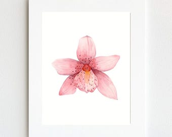 Pink Orchid Watercolor Art Print, Botanical Wall Decor