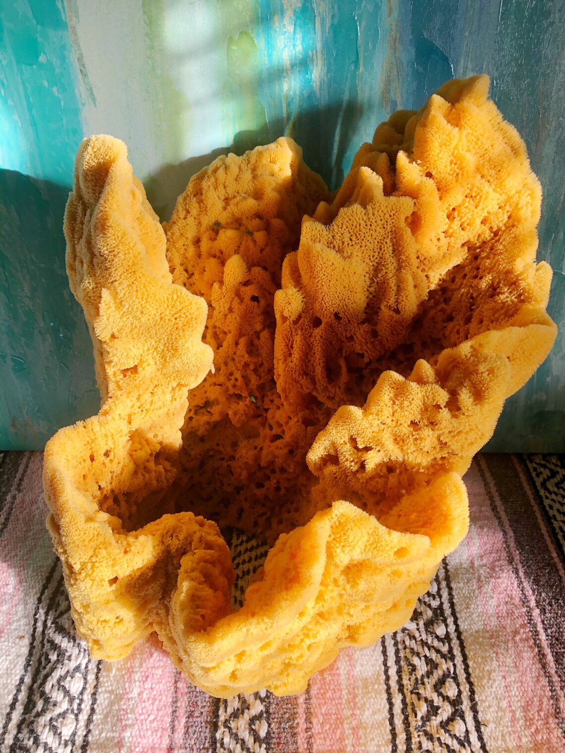 Extra Large Natural Sea Sponge Vase Etsy