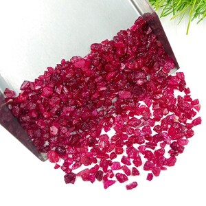May include: A collection of small, rough-cut ruby gemstones in a stainless steel scoop. The gemstones are a deep, rich red color and appear to be raw and unpolished. The scoop is positioned against a white background with a touch of green.