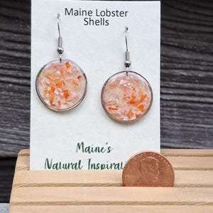 May include: Round earrings with Maine lobster shells encased in clear resin. The earrings have a silver-colored metal frame and ear wire. The card behind the earrings reads "Maine Lobster Shells" and "Maine's Natural Inspiration."