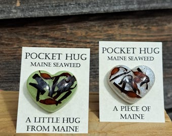Pocket Hug - Maine Seaweed