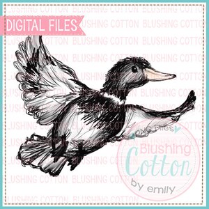 Sketchy Mallard Duck PNG Watercolor Artwork Digital File - for printing and other crafts