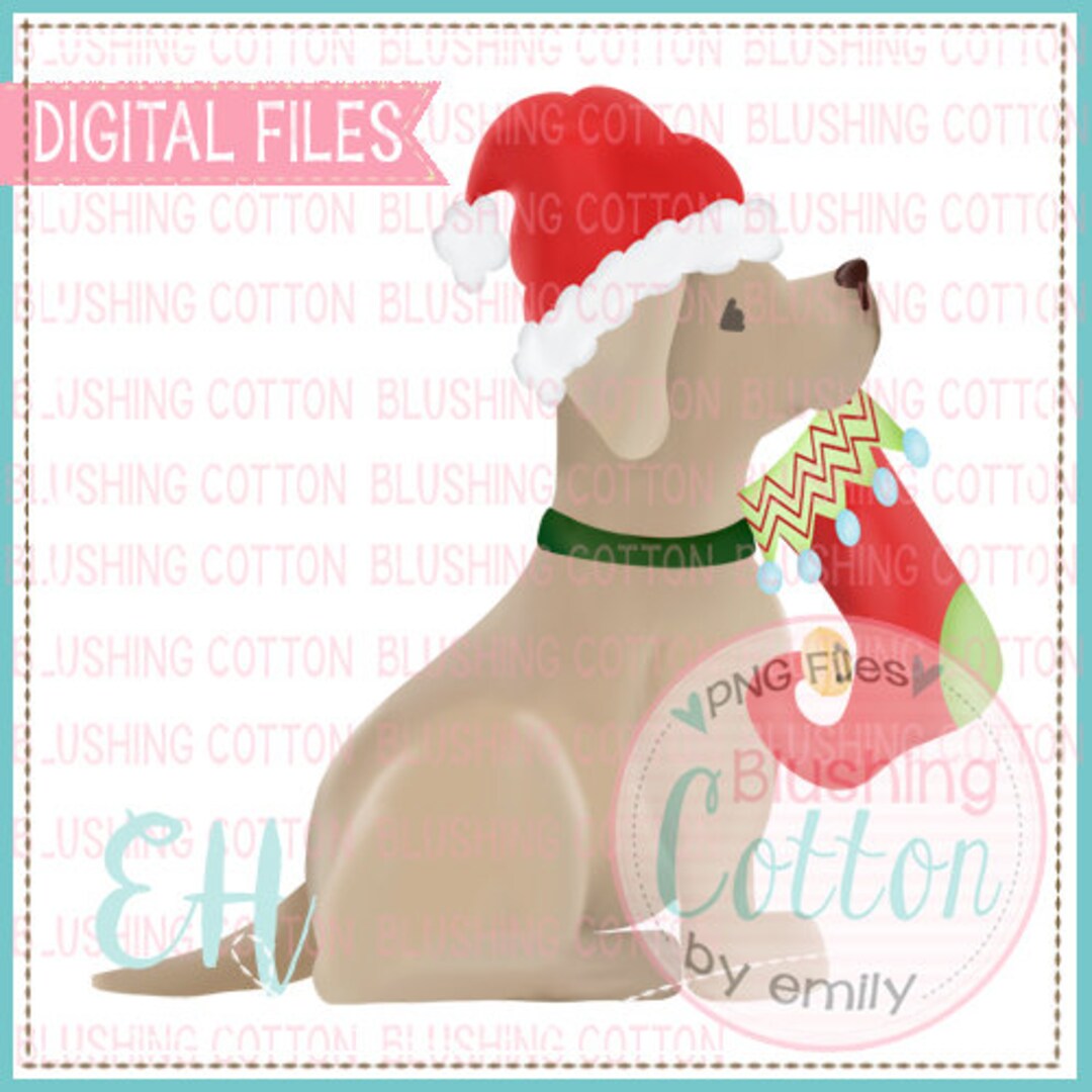 Yellow Lab Stocking Yellow Lab Santa With Christmas Stocking Design PNG Artwork Digital ...