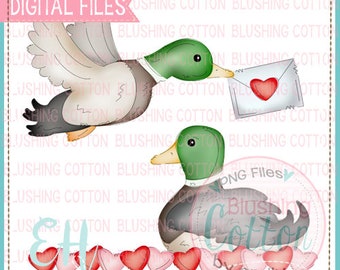 Valentine Mallard Duck Watercolor PNG Artwork Digital File - for printing and other crafts