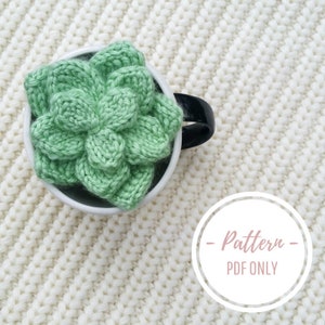 PATRÓN PDF: Patrón de Tejer Descarga Digital Planta Suculenta, Decoración Hogar Agave Cactus Amigurumi Instrucciones