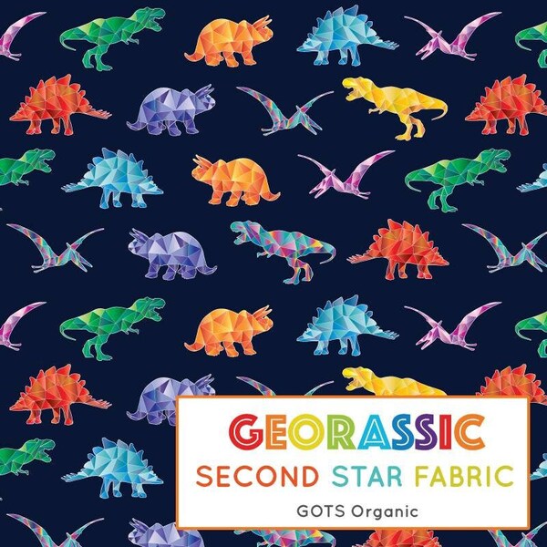 Georassic, Regenbogen Dinosaurier, T-rex, Triceratops, GOTS, Bio Strickstoff, Baumwolle Elasthan, Jersey, Stretch Stoff