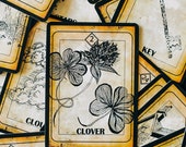 倫*様 ALMA LENORMAND CARD 36枚セット 倫*様 ALMA LENORMAND CARD 36枚セット 本