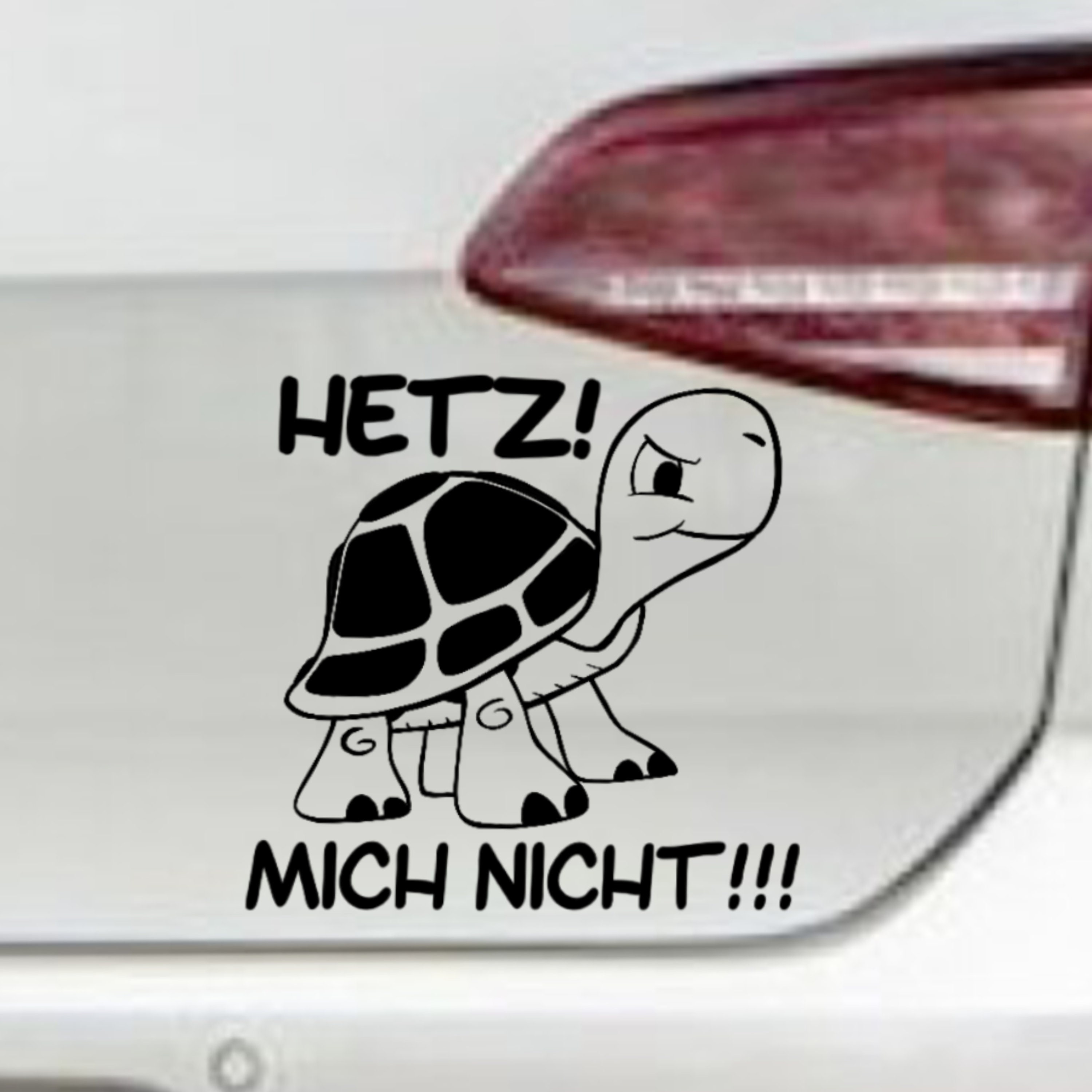 Schildkröte auto aufkleber - .de