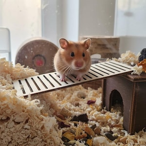 Könnte beinhalten: Ein goldfarbener Hamster steht auf einer Holzbrücke in einem Käfig. Der Hamster hat ein hellbraunes Fell und kleine Ohren. Der Käfig ist mit Holzspänen gefüllt. Unter der Brücke ist ein kleines Holzhaus zu sehen.