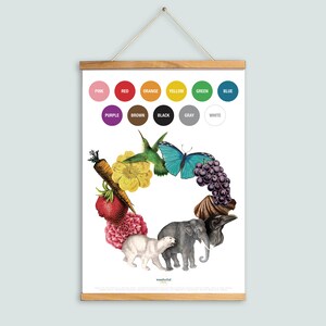 Póster de colores, tabla de pósteres educativos para niños, para sala de juegos, sala de educación en casa, aula y habitación de niños