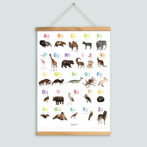 Póster del alfabeto animal, gráfico educativo de carteles para niños, para sala de juegos, sala de educación en casa, aula, habitación para niños